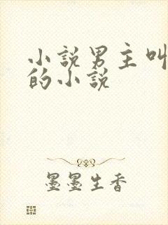 小说男主叫楚风的小说