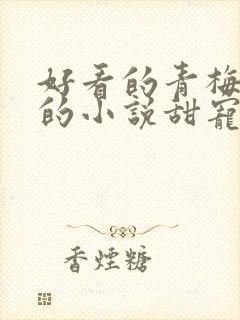 好看的青梅竹马的小说甜宠文