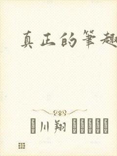 真正的笔趣阁封面