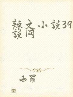 辣文小说39小说网封面
