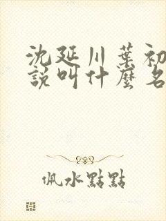 沈延川叶初裳小说叫什么名字