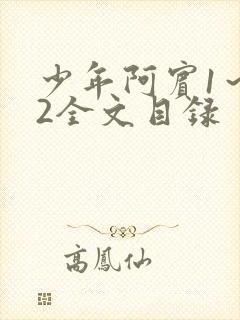 少年阿宾1～72全文目录