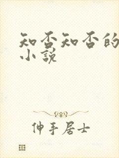 知否知否的原著小说