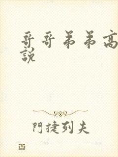 哥哥弟弟高h小说