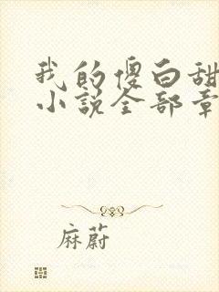 我的傻白甜老婆小说全部章节