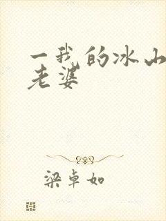 一我的冰山女神老婆