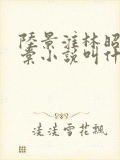 陆景淮林昭沈千棠小说叫什么名字封面