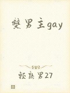 双男主gay封面