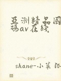 亚洲精品国产乱码av在线