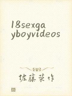 18sexgayboyvideos