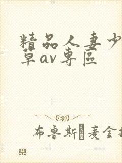 精品人妻少妇嫩草av专区