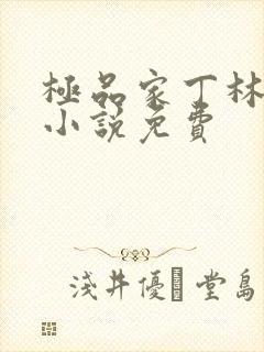 极品家丁林晚荣小说免费