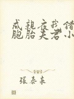 成亲夜我错认双胞胎夫君小说免费阅读