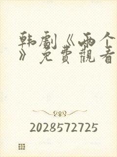 韩剧《两个妻子》免费观看