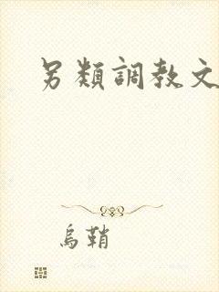 另类调教文封面