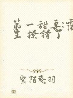 第一甜妻:霍先生 撩错了