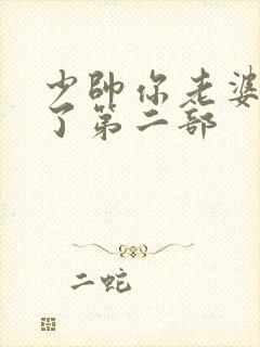 少帅你老婆又跑了第二部封面