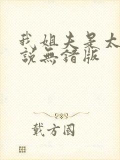 我姐夫是太子小说无错版