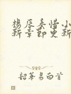 杨辰秦惜小说最新章节更新