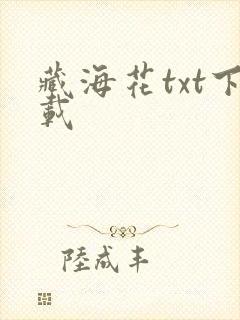 藏海花txt下载