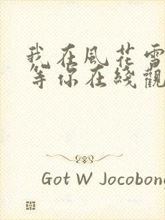 我在风花雪月里等你在线观看封面