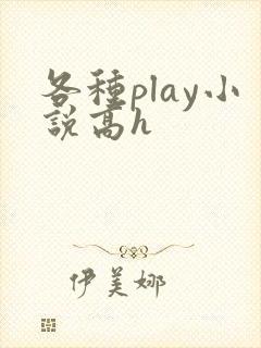 各种play小说高h