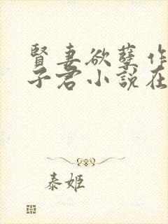 贤妻欲孽作者容子君小说在线阅读