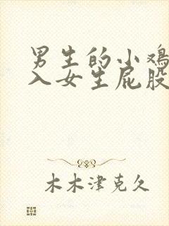 男生的小鸡鸡插入女生屁股里视频