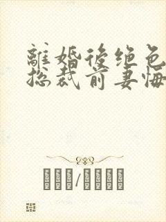 离婚后绝色高冷总裁前妻悔断肠封面