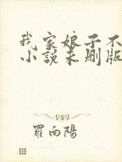 我家娘子不对劲小说未删版完整