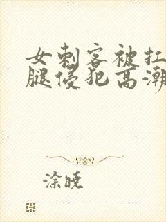 女刺客被扛起玉腿侵犯高潮h小说封面