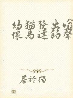 幼猫发出嗡嗡嗡像马达的声音