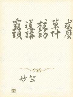 霸道校草求我回头讲的什么