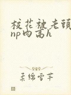 校花被老头强迫np肉高h