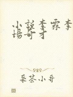 小说李霖李澜官场奇才