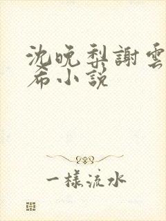 沈晚梨谢云迟叶希小说封面