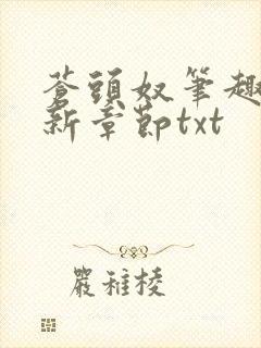 苍头奴笔趣阁最新章节txt