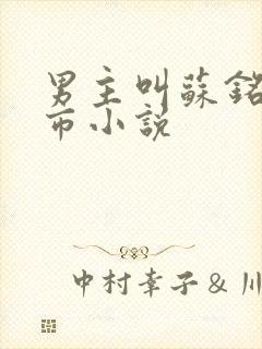 男主叫苏铭的都市小说