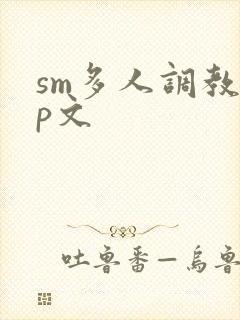 sm多人调教np文封面