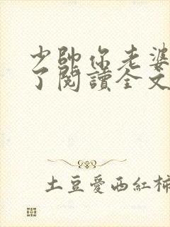 少帅你老婆又跑了阅读全文