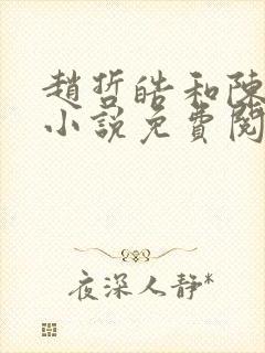 赵哲皓和陈轻柔小说免费阅读