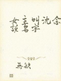 女主叫沈念的小说名字