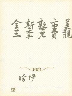 金斯敦市美剧第三季免费观看