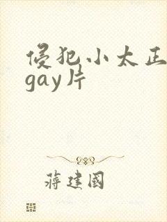 侵犯小太正裸体gay片