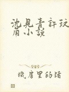 沈见青许玟玟主角小说