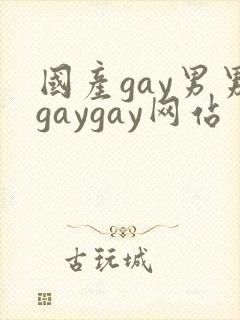 国产gay男男gaygay网站