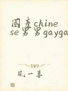 国产chinese男男gaygay网站肌肉