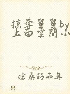 掠夺舅舅by远上白云间小说免费阅读笔趣阁