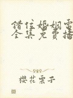 错位婚姻电视剧全集免费播放