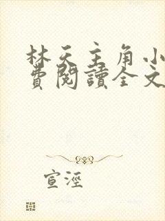 林天主角小说免费阅读全文封面